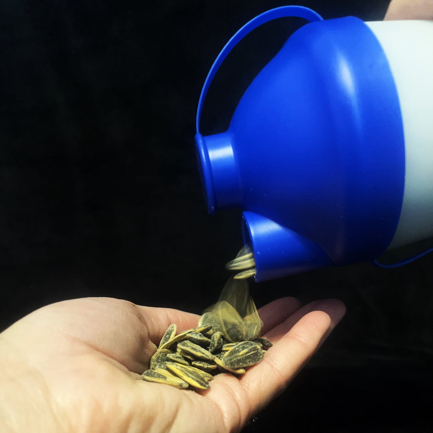 The ProSeed sunflower seed snack cup pouring out seeds. 